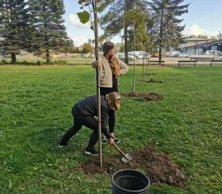 46f062579389ccf235e9a4797ec5bc31