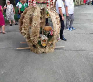 456281170 834446408810413 1719200306479604558 