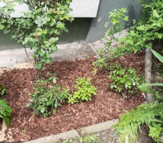 4e1525f65775525c9ee80bb7ca700b27