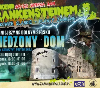 plakat WZF Z PROGRAMEM ww