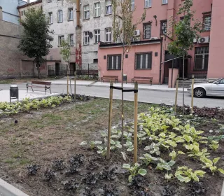 IMG 20190705 080044 resized 20190715 12482852