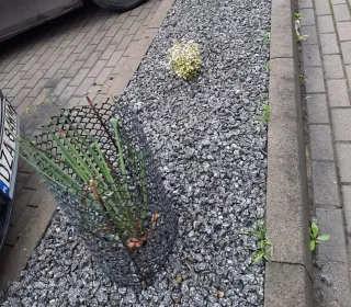 5cfa4ac8bcdbc92589d0a741c0614d99