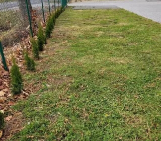 253727658 4651196731604440 3787942161929672216 n (002