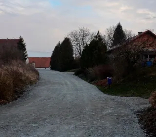  DSC117