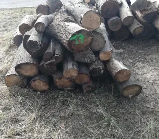 64ac7751baf55ea17310b3f81ae2e31a