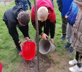 64b1456f23b24594b1a5f5a1fdffe2e6