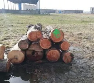 661dcae6547a9c04d58f97623b35b887