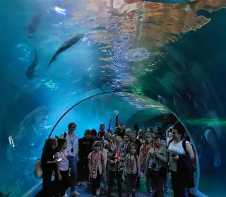 zdjecie sp braszowice 