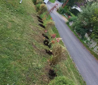 701c8163eaf653d9a6f13e2631b71587