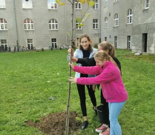 73602a7f66b92e4fc022730c14e2bd00