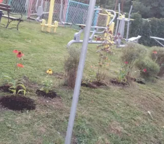 73f69ef7d350399c834cda24ee8e4bab