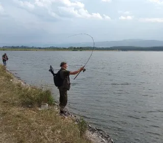 74aa17c498a65c93da7fa448569f2a15