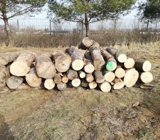 75912183353f897c0aa5b69e037ec3a3