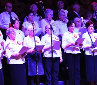 r 780 439 1636489214048 5 17298 DSC 413