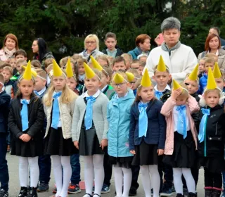  DSC810