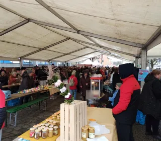 83fbdb66da7647b46b5fffbbc0c6d32a