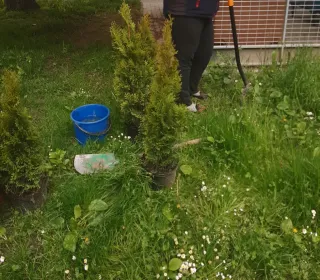 8b737d5a58d6a25e873021c5fe0ea802