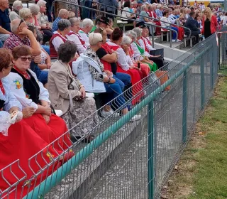 450164450 1501630683817973 8416688559605755735 