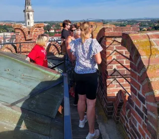 376388910 335676485483574 3189387830006076202 