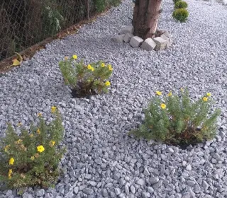 246935066 4555327511171057 5463059520551215614 n (002