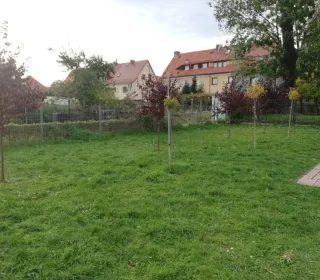 252690847 1954750971376091 1226451345408275151 n (002