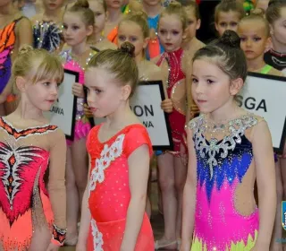 46131-bi