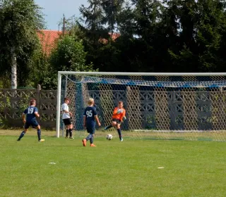  DSC519