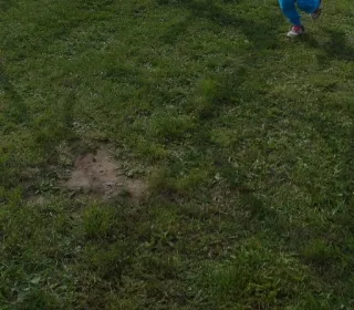 a1e17210acac0f6471dce390012a855a