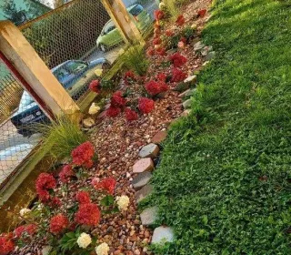 242699316 4741748419176865 2662921849229917983 n (002