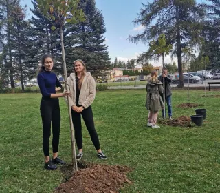 abb08dae98efc4133a160a0a4ea93392