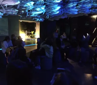 Zdjęcie Nr 19 ZOO wrocła