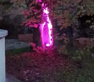 af5ec0bf59efb46c611550f2f52fa275