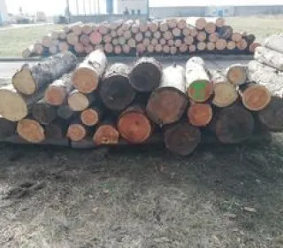 b3078a37a58c435383a13b21ce90c7b8