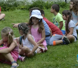 47796-bi