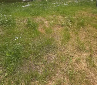 b9b1e5173206ab6e3e1489b0c07d59fa