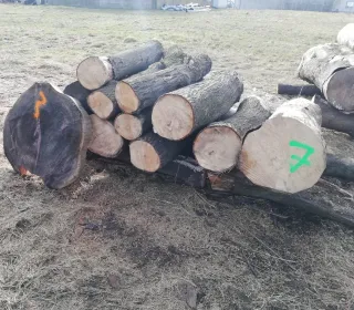 bb9cb58c2bc7ade7ba3fb6f86fcabeaa