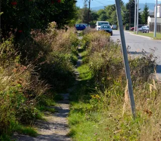  DSC585