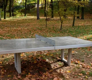 72475324 467132003894272 128270662878887936 