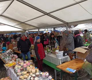 c256ff79d49ce11f06c7d07b739a5050