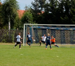  DSC519