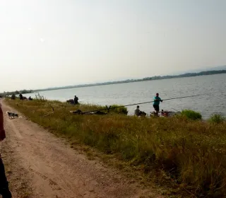  DSC510