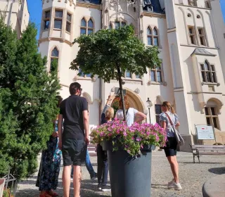 376370842 204324642655123 6949564026248106974 