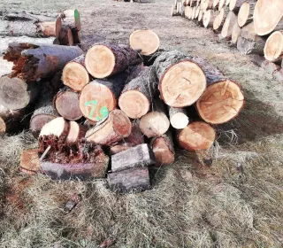 d04ecc404a7510e53328df3da23a789f