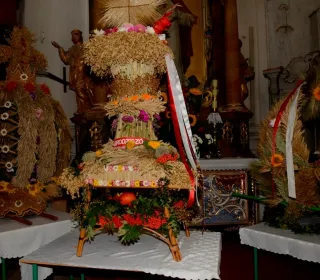  DSC513