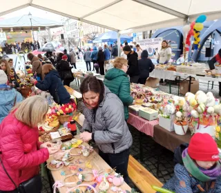 d50c0198a366559a9ab04098e5b00a11