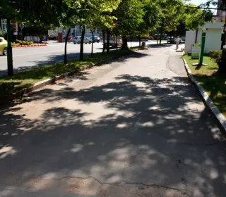  DSC591