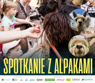 spotkanie z alpakami