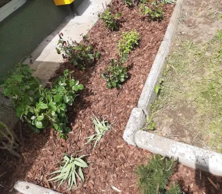 e1e57ddad18a5ebfe44db5df66ad99f7