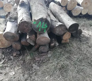 e32437d5a49032588323ffa5105347b6