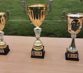 70395913 2435459896701846 6852063804675588096 